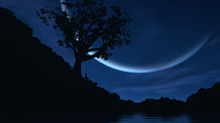 landscape painting of tree on hill silhouette under clear sky and crescent moon during nighttime HD wallpaper