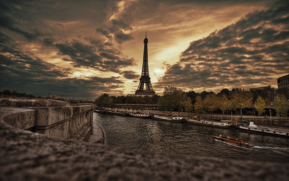 eiffel tower near body of water and trees HD wallpaper