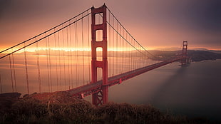 brown wooden bed frame with white mattress, bridge, Golden Gate Bridge HD wallpaper