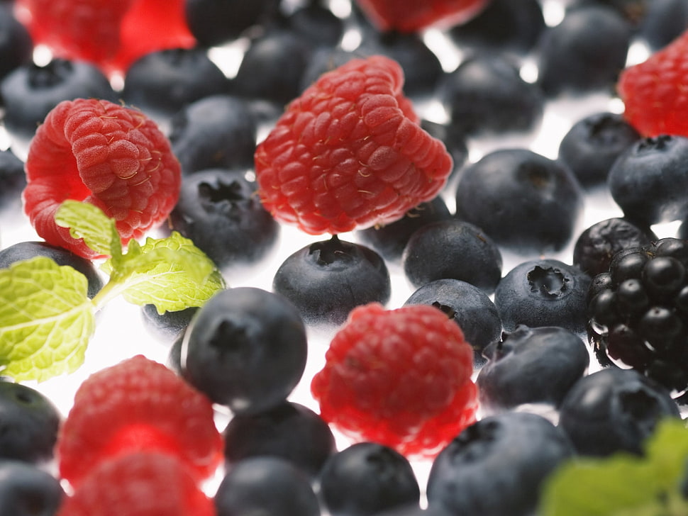 red raspberry and blue berries HD wallpaper