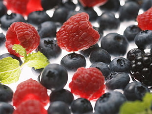 red raspberry and blue berries