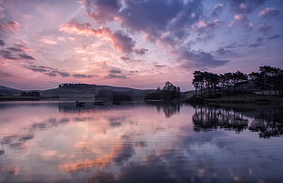 landscape silhouette photography of trees and body of water under cumulus clouds