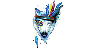 wolf wearing feather headband Wallpaper, drawing, feathers, colorful, simple background