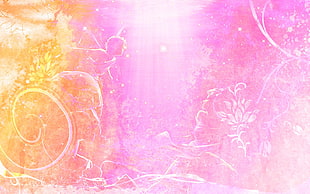 pink and orange Painting decor