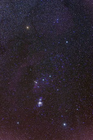 cluster of stars, Orion, space, constellation, stars