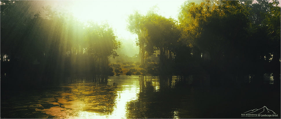 green tree, CGI, fall, water HD wallpaper