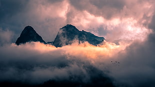 foggy mountain photo shot during daytime, romania HD wallpaper