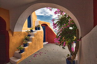 pink bougainvillea, architecture, building, Greece, arch