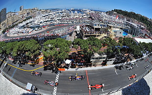 fish-eye top view photography of racing cars on black asphalt road HD wallpaper