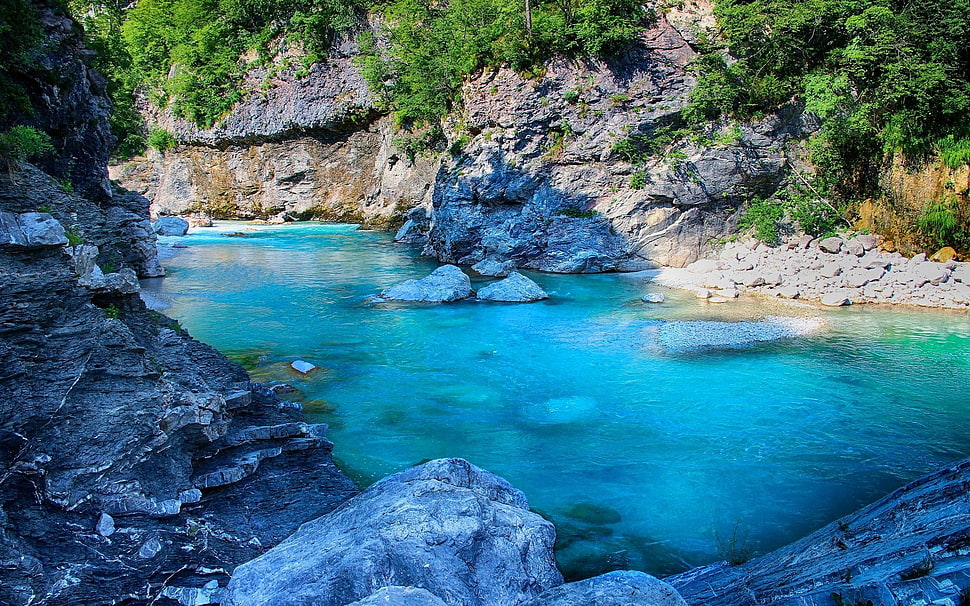 gray stone, nature, landscape, river, shrubs HD wallpaper