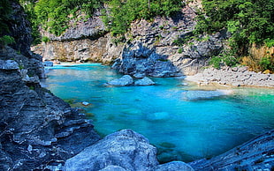 gray stone, nature, landscape, river, shrubs