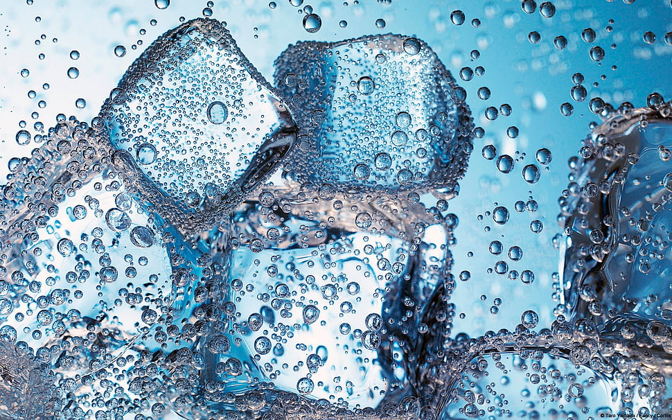 ice cube lot, ice cubes HD wallpaper