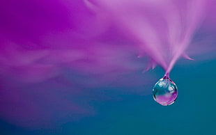 closeup photography of water drop