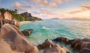 brown rocks, Seychelles, rock, palm trees, beach HD wallpaper