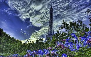 Eiffel Tower near plants during daytime