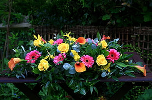 yellow, pink, and green flowers