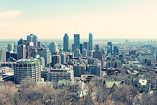 city buildings, city, Montreal HD wallpaper