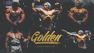 Golden Aesthetics poster HD wallpaper