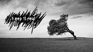 tree with text overlay, trees, monochrome, text