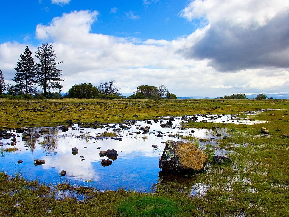 brown stone, landscape, nature, trees, clouds HD wallpaper