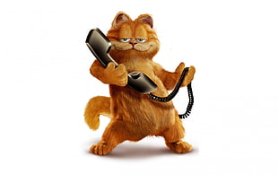 Garfield illustration