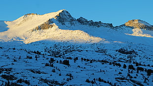 glacier mountain, snow, mountains, landscape HD wallpaper