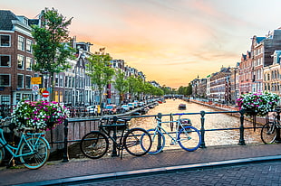 photography of bicycles parked on bridge, amsterdam HD wallpaper