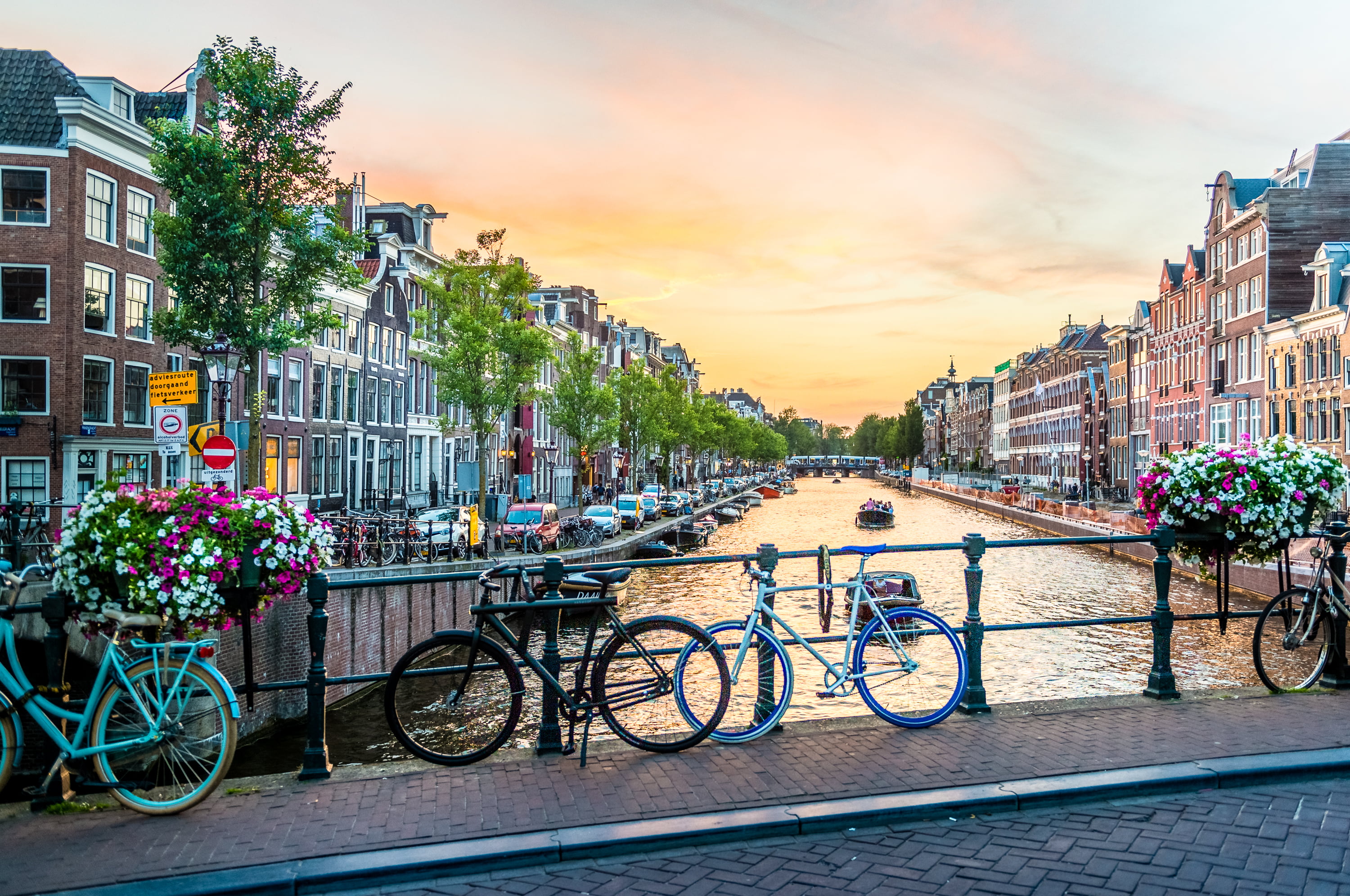 photography of bicycles parked on bridge, amsterdam