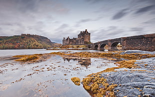 bridge connected to a castle surrounded by body of the water HD wallpaper