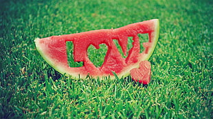 watermelon carving on grass