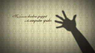 hand shadow illustration, minimalism, humor HD wallpaper