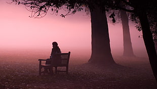 man sitting on bench near trees HD wallpaper