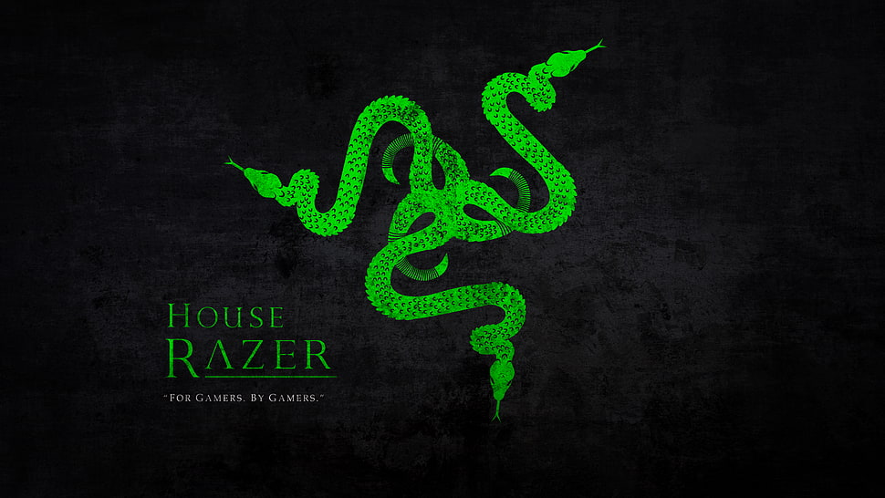 green and blue and green textile, Razer Inc., Razer, logo, snake HD wallpaper