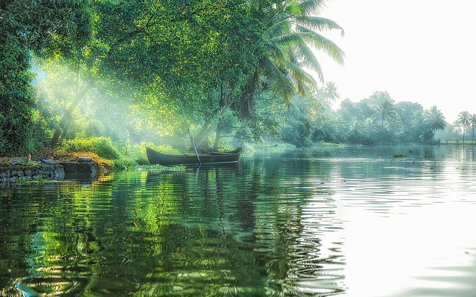 black boat on lake near green leafed trees, landscape, nature, lake, sun rays HD wallpaper