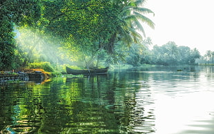 black boat on lake near green leafed trees, landscape, nature, lake, sun rays