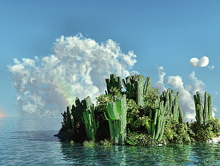 green cacti on water under blue sky