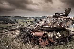 gray and black battle tank, Sam King, Dorset, England, tank