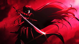 long haired female anime character digital wallpaper, Akame ga Kill!, Akame