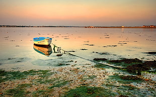 yellow and blue paddel boat near seashore photo during snset