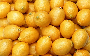 round orange citrus fruits, lemons, plants, food HD wallpaper