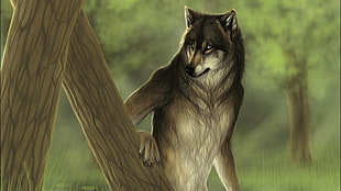 wolf illustration, fantasy art, wolf, Anthro, animals