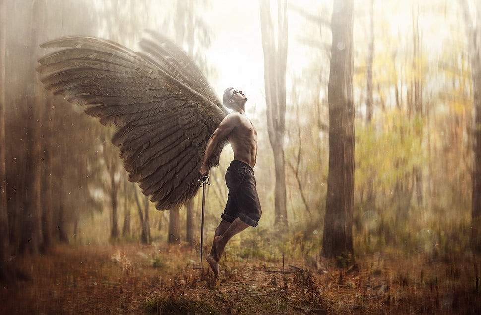 male angel graphic wallpaper, men, fantasy art, angel, wings HD wallpaper