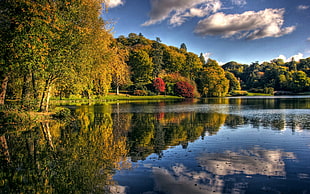 lake surrounded by trees taken during at daytime HD wallpaper