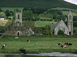 photography of brown concrete church