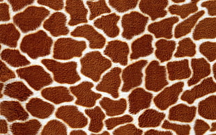 brown and beige giraffe skin wallpaper