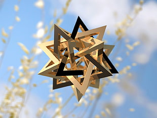gold-colored star hanging decor near flowers HD wallpaper