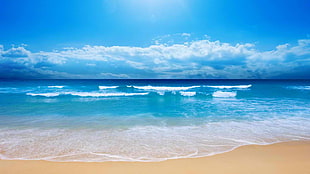 ocean waves during daytime