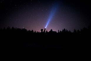silhouette of trees, Starry sky, Stars, Night