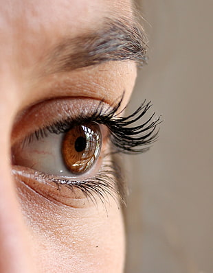 close-selective focus photography of person's left eye HD wallpaper