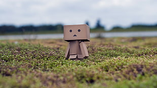 brown cardboard box on green plants during day time